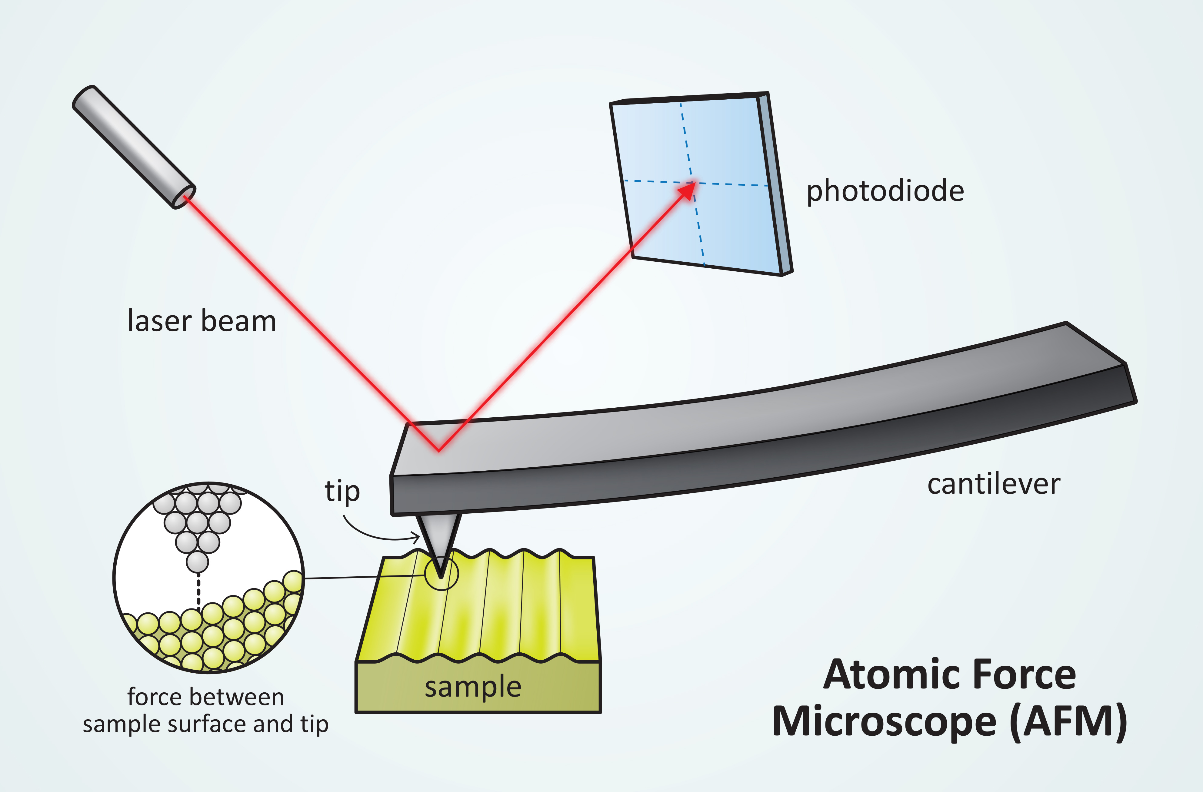 Nanotechnology - Atomic Force Microscope